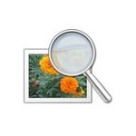 GSA Image Analyser - Download for Windows